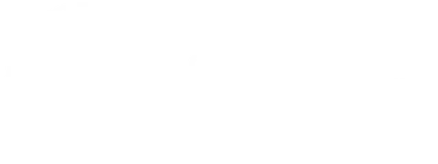 Consejo Federal de Inversiones