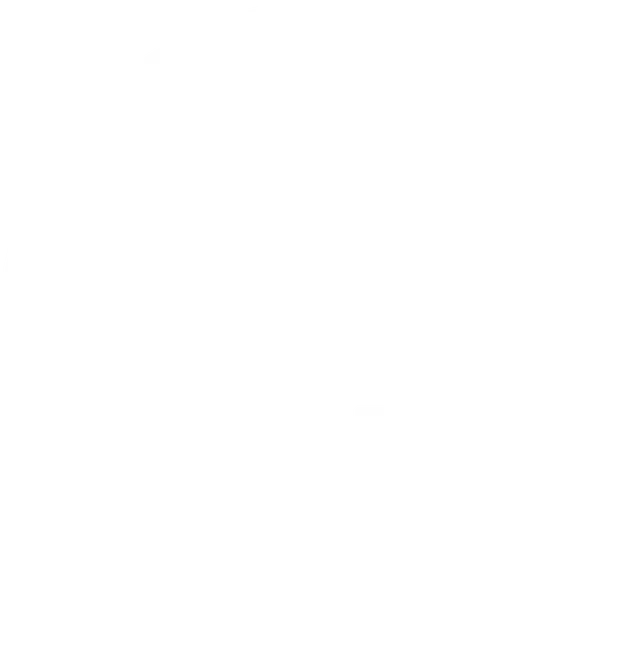 Fidem SGR